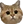 :catface: