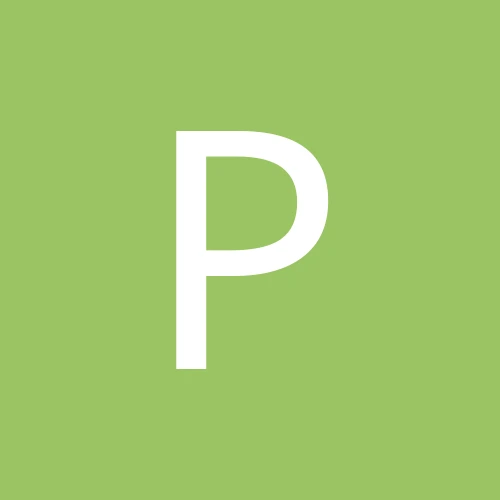 PlaywisDEV